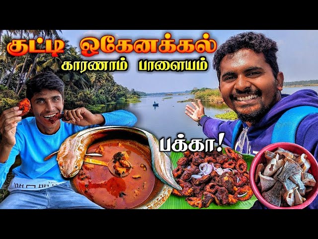 ?குட்டி ஓகேனக்கல் பக்காவான மீன் சாப்பாடு | Karnampalayam | Kutty Hogenakkal | Fish Meals  | K7